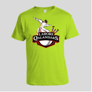 Lahore Qalandars New Green  PSL TShirt 